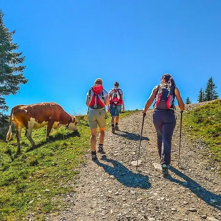 In Brixental Near Hiking Trails * Brixen im Thale